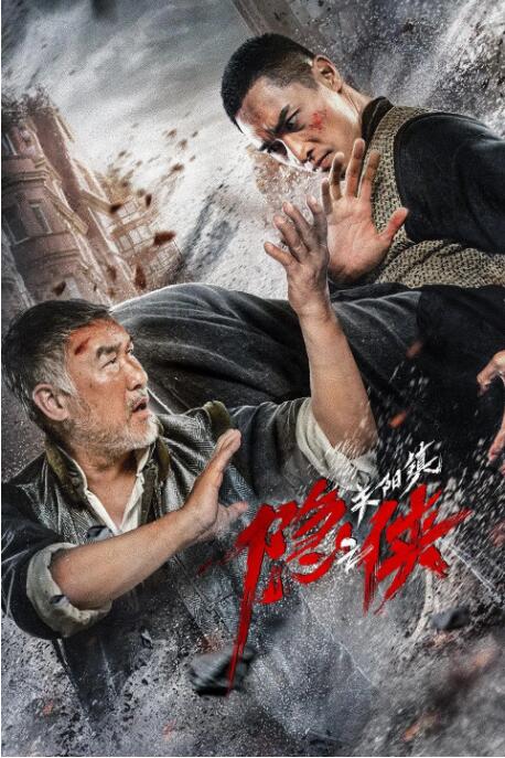 《善良岳母：我爱我的女婿》海报